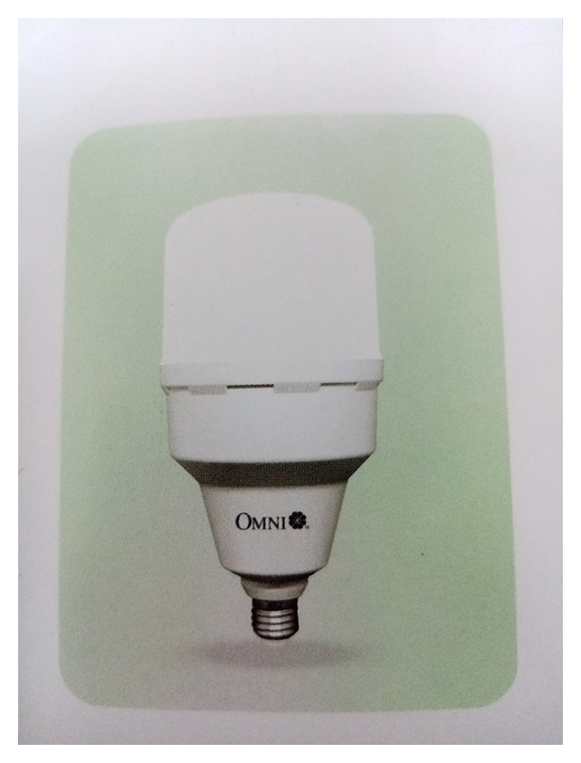 Omni Led High Power Capsule Lamp W W Daylight Lmt E W Dl