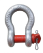Picture of MAXLIFT SCREW PIN ANCHOR SHACKLES, LSPS-2T
