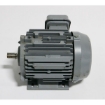 Picture of Hitachi TFOK Electric Induction Motor